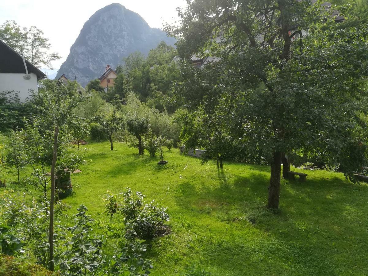 Apartma Pr Pekovcu Bohinj Exteriér fotografie